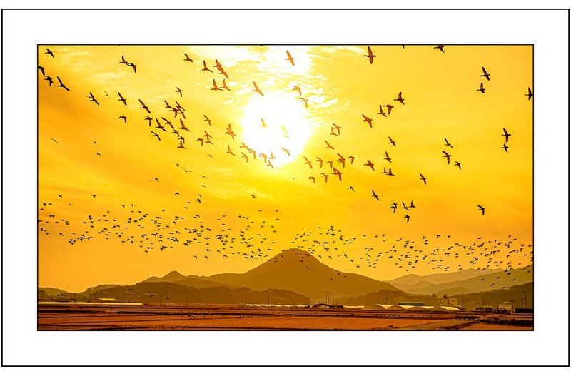 순천만의 오후,,