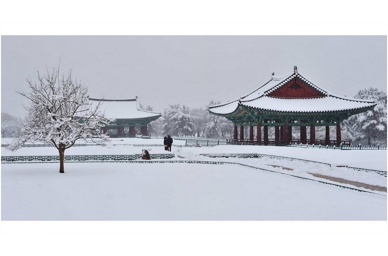 눈오는날의 낭만