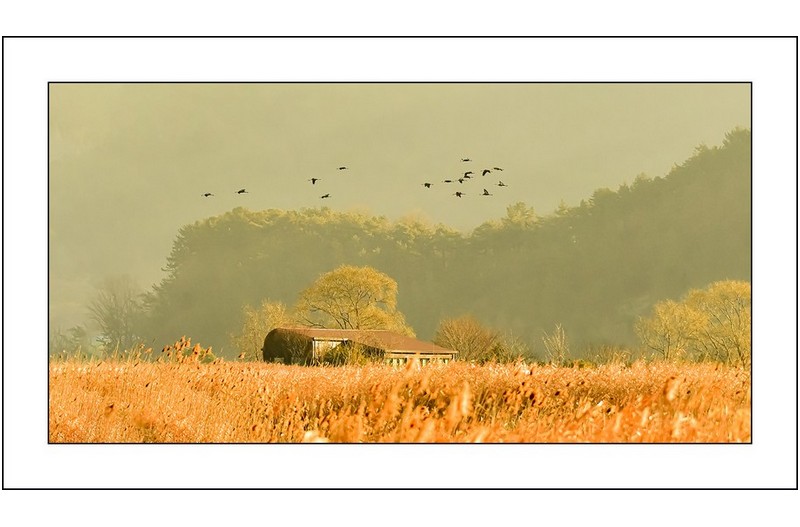 순천만의 아침,,