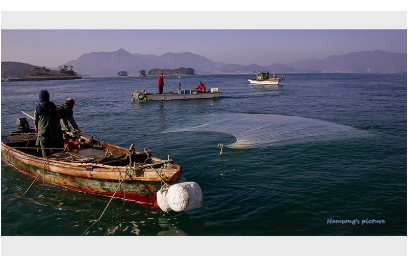 남도의 개불 잡이 ---