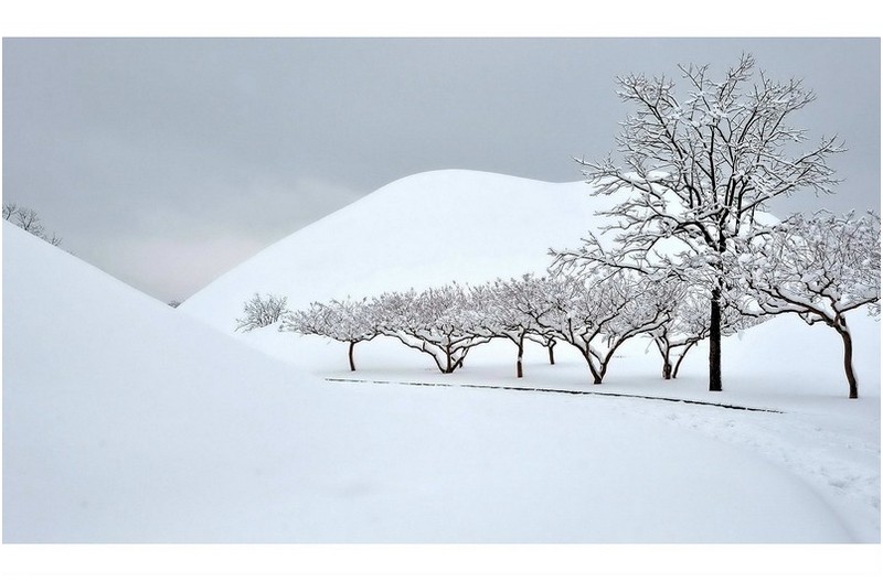 추억의 설경
