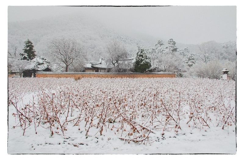 설경 - 雪景