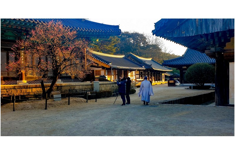 봄은 오고있는가?