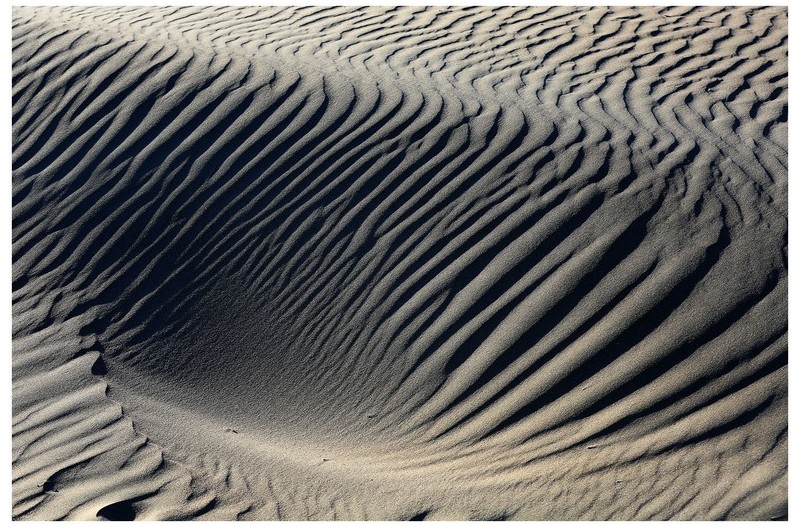 sand dune (사구) 砂丘