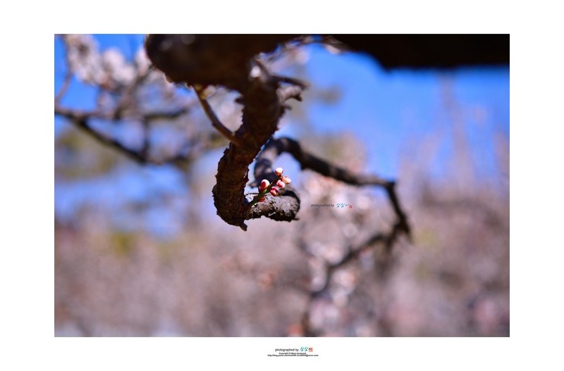 20220326# 봄이오는 길목에서...