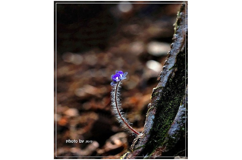 그곳에 가면  ㅡㅡㅡㅡㅡㅡㅡㅡㅡㅡㅡㅡㅡㅡㅡ