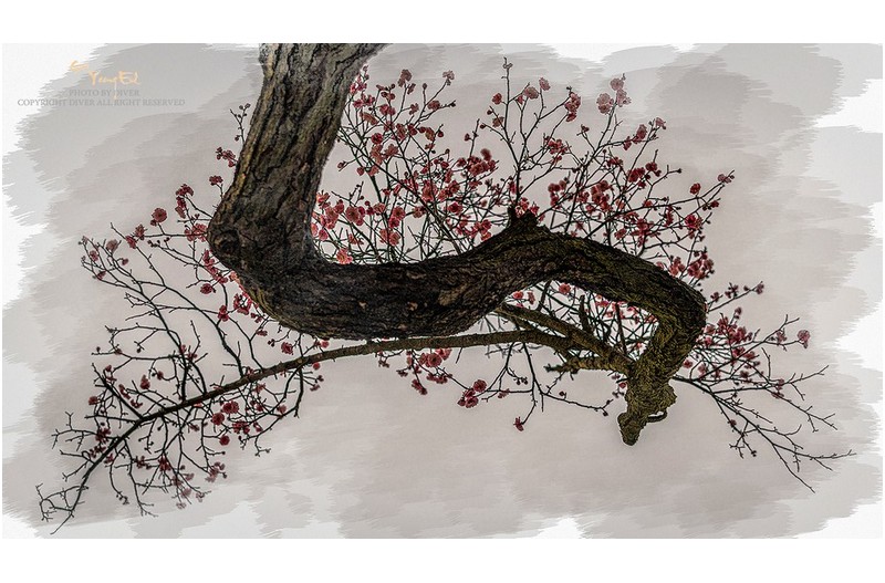 기다려 집니다...