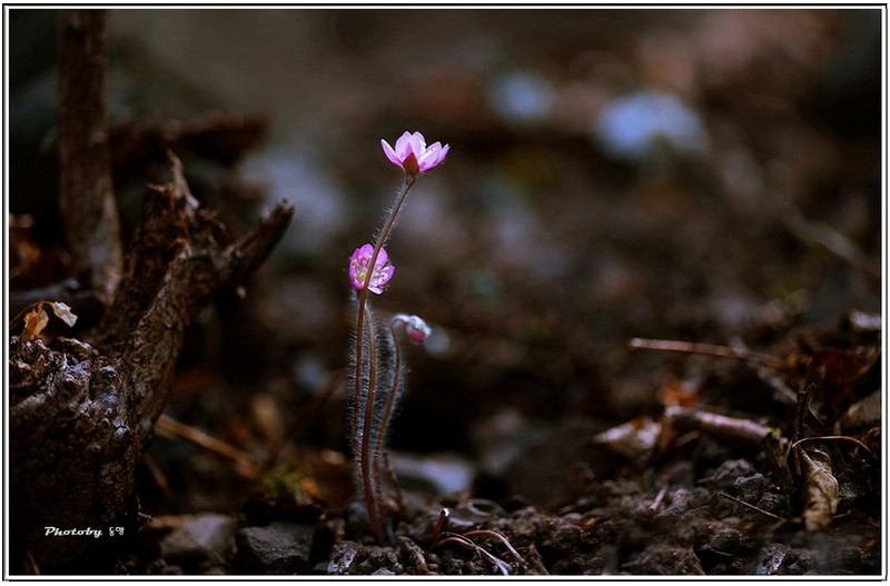 그곳에가면   ㅡㅡㅡㅡㅡㅡㅡㅡㅡㅡㅡㅡㅡ