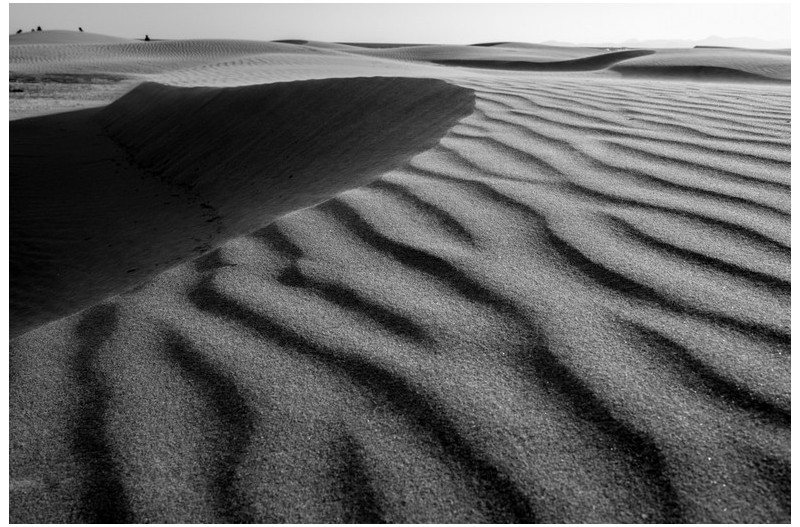 부산에도 사막이 있어요