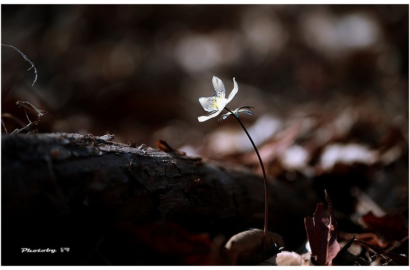 별볼일없는  어물동  ㅡㅡㅡㅡㅡㅡㅡㅡㅡㅡㅡㅡ