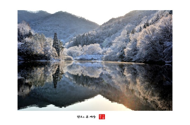 세량지의 겨울