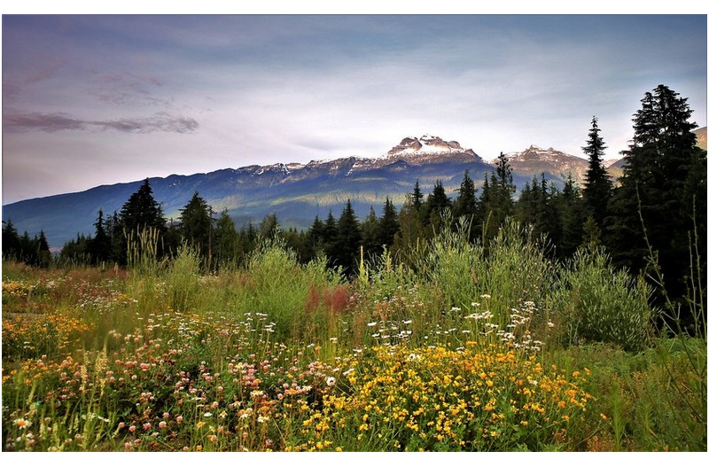 카나다 여행중에