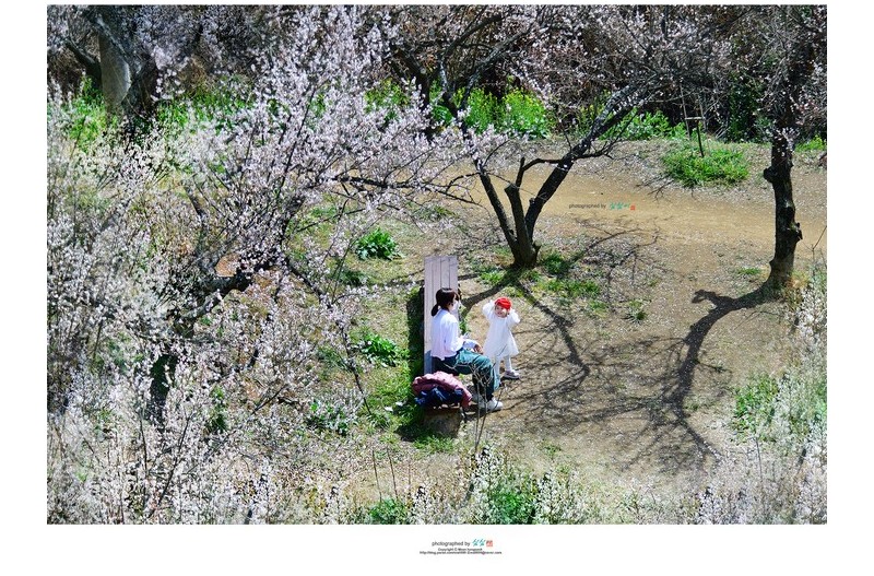 20220315# 봄이 아름다운 이유...1