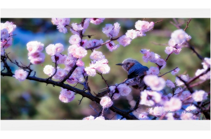 기다리는 마음 ---