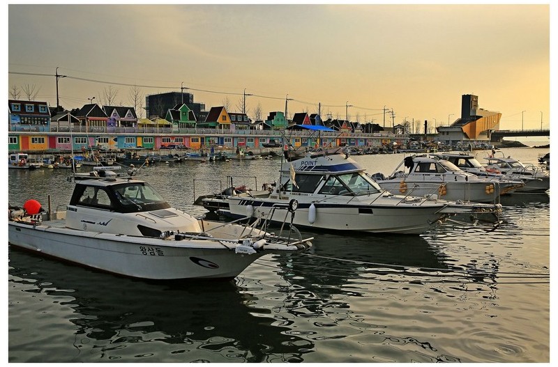 부산의 부네치아