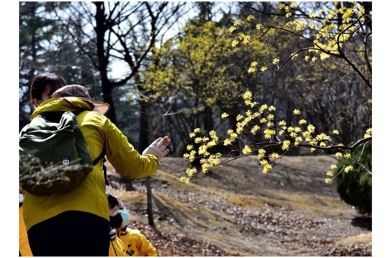 꿈나무 봄나드리