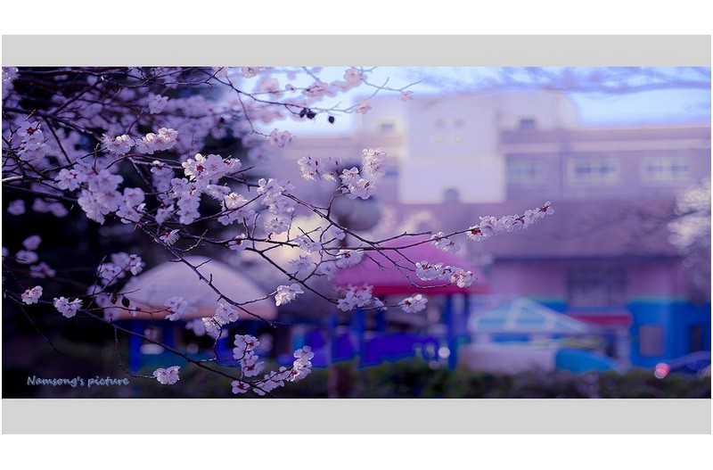 봄날의 풍경 --