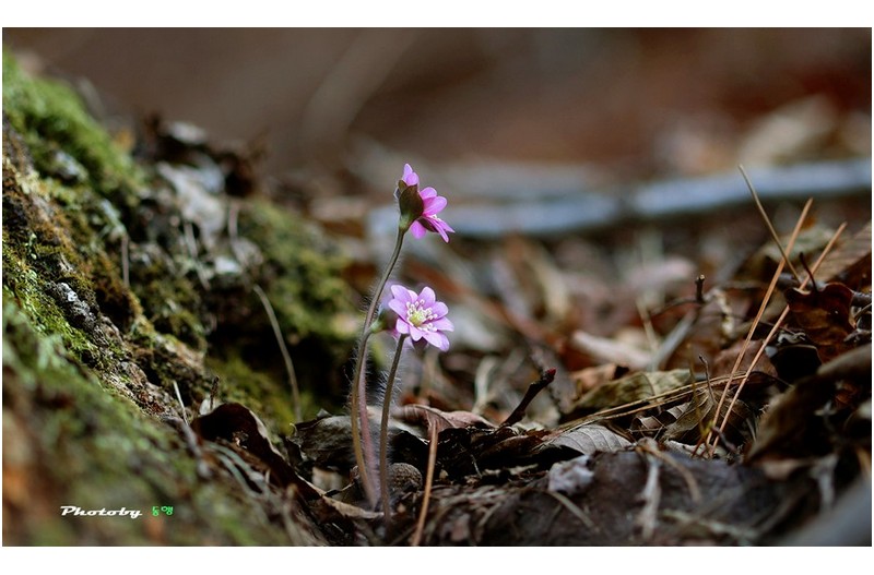 영진테크   ㅡㅡㅡㅡㅡㅡㅡㅡㅡ