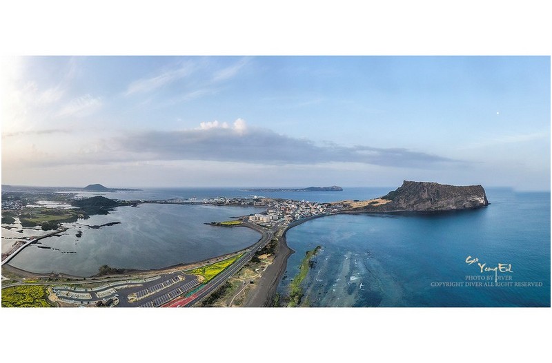 성산일출봉의 봄 소식