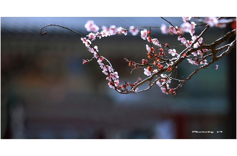 봄의 끝자락  ㅡㅡㅡㅡㅡㅡㅡㅡㅡㅡ