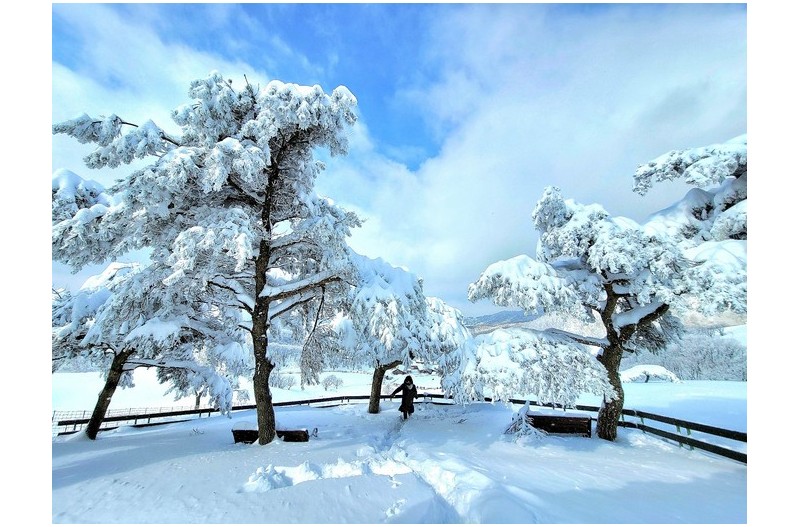 20일.일요일.오늘.양떼목장