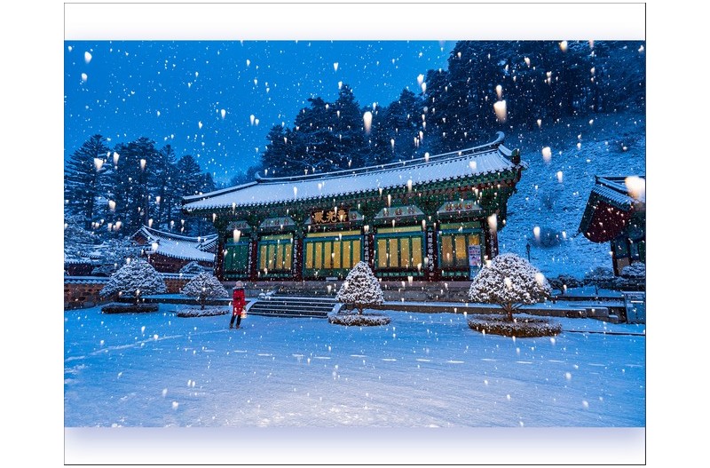 첫 눈속의 기도