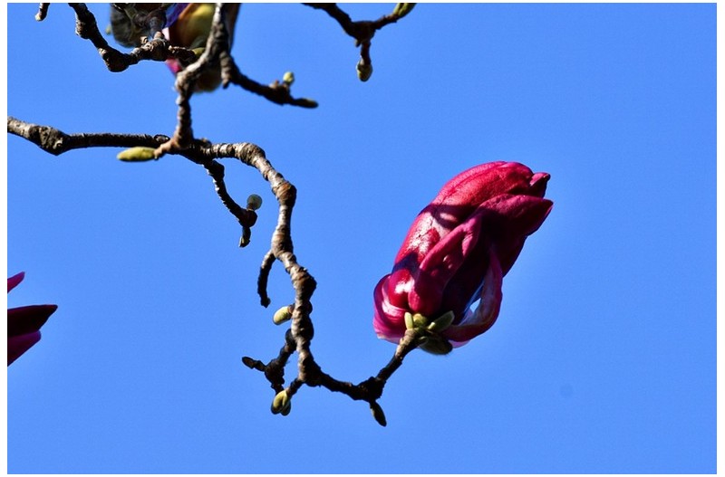 남강변 아침산책