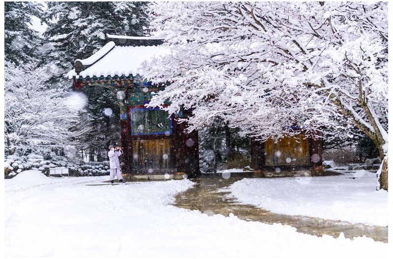 설레는 마음으로