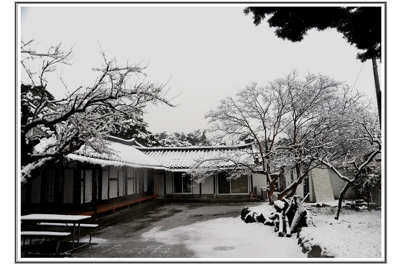 때 늦은 춘설 속에