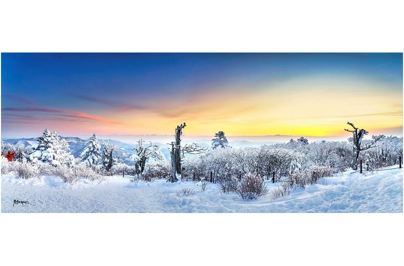 태백산 춘설 (파노라마)