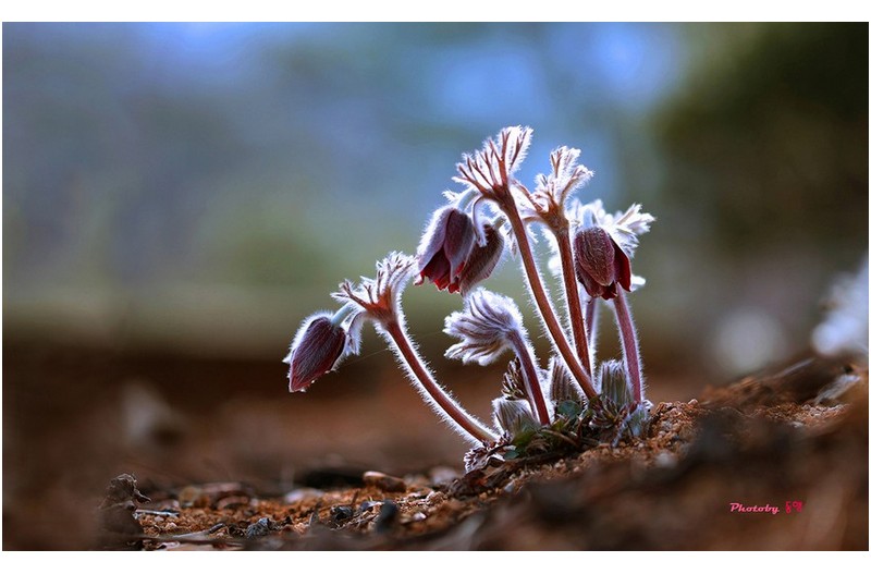노부부 이야기  ㅡㅡㅡㅡㅡㅡㅡㅡㅡㅡ