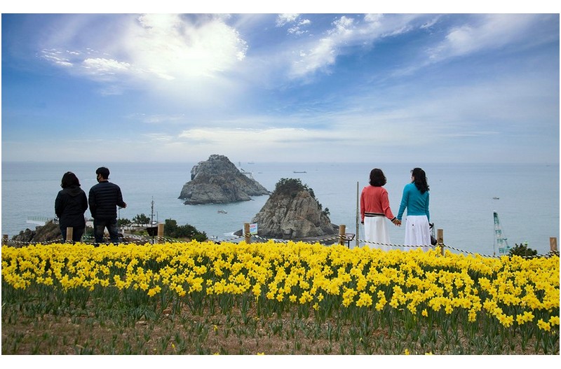 수선화 동산 오륙도