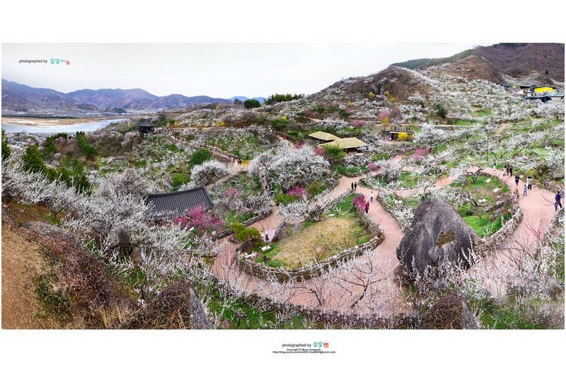 20220321#봄나들이 #2