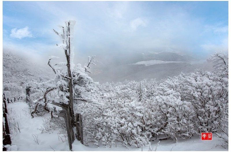 춘설이 내린 함백산