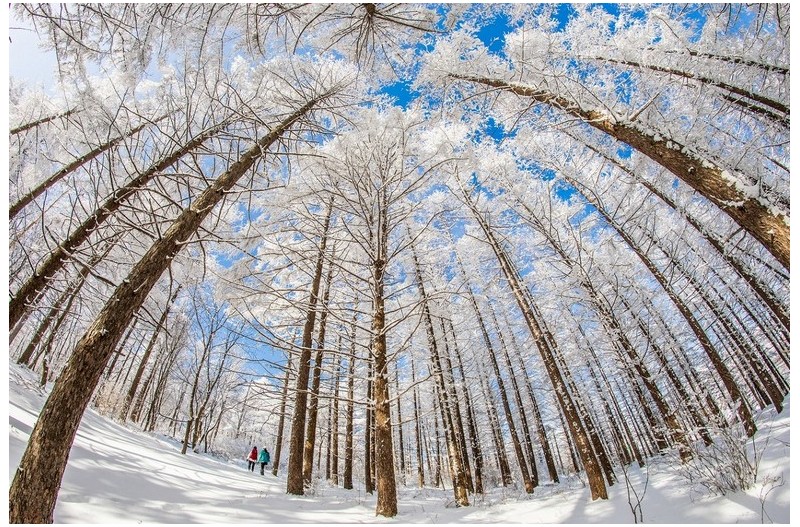 춘설의 추억 만들기