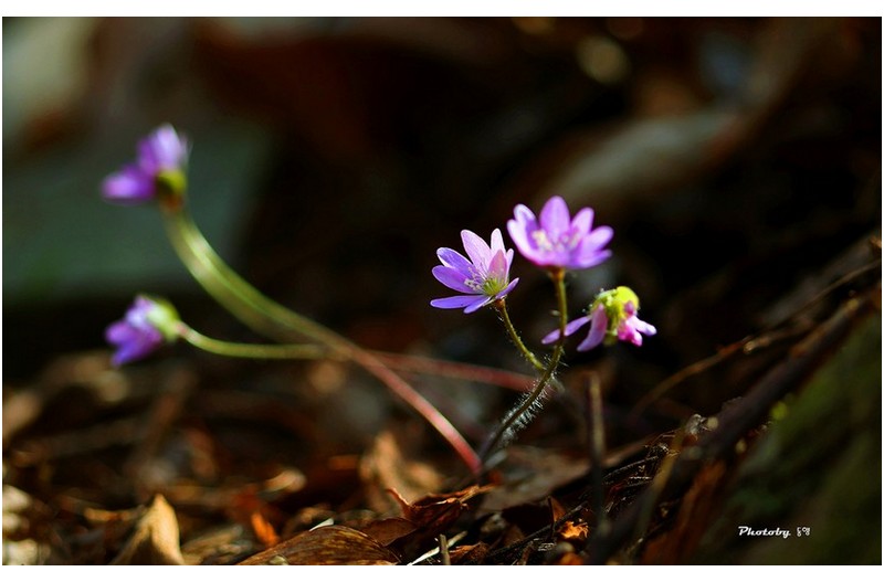 영진테크  ㅡㅡㅡㅡㅡㅡㅡㅡㅡㅡㅡ