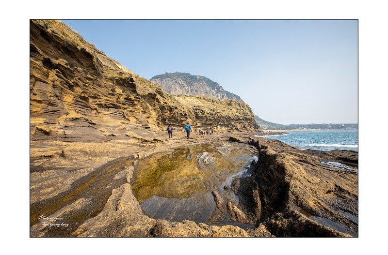 자연이 빚은 작품