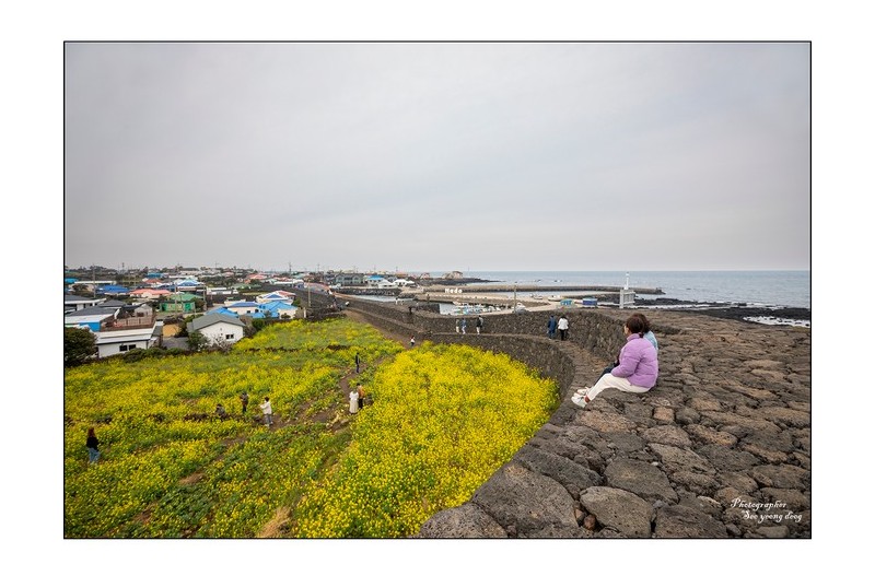 봄을 즐기는 사람들