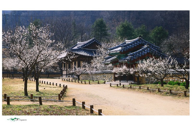 서원의 봄