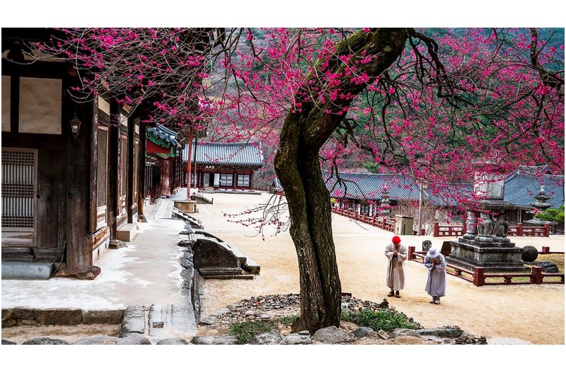 다들 꼭 읽어 보십시오,