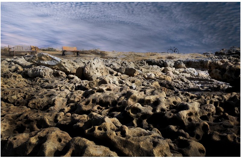 코로나19  오!미크론?