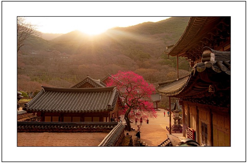 화엄사의 아침,,