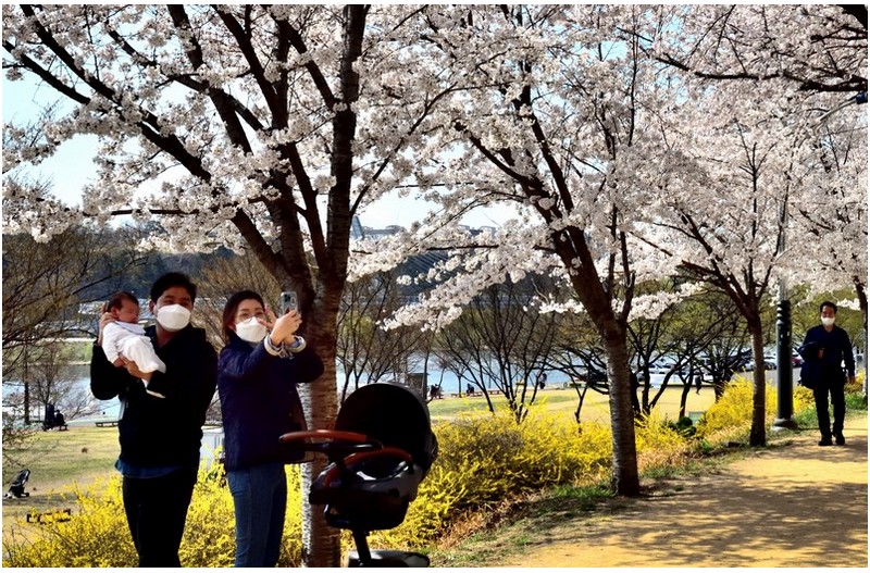 꽃 그늘아래에서