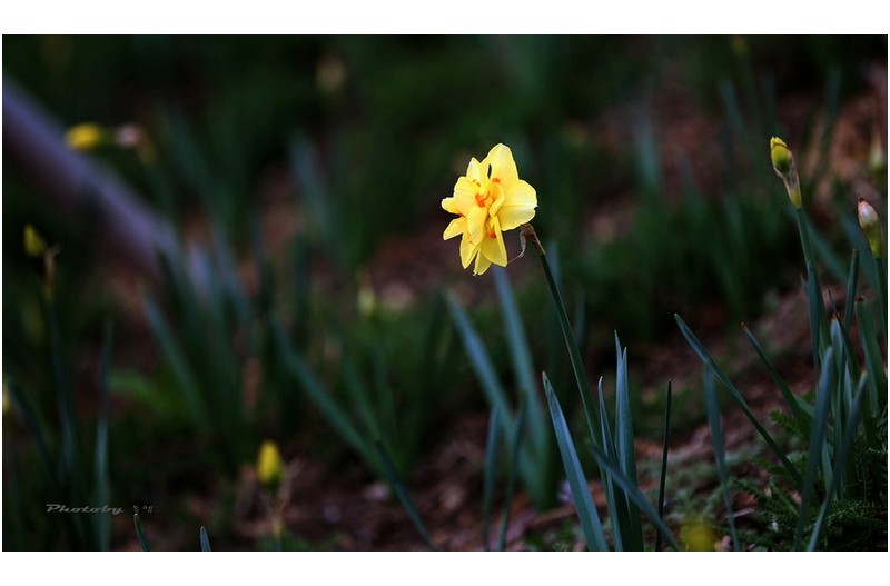 님의 향기  ㅡㅡㅡㅡㅡㅡㅡㅡㅡㅡㅡㅡ