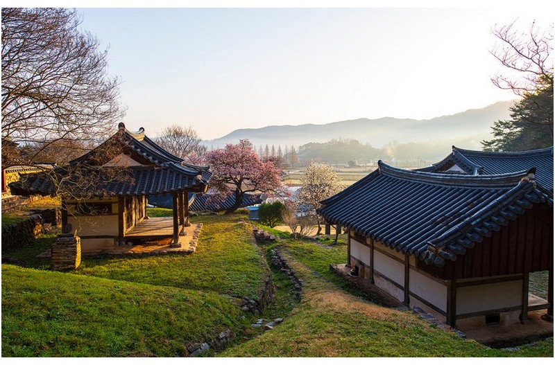 고택의 봄2