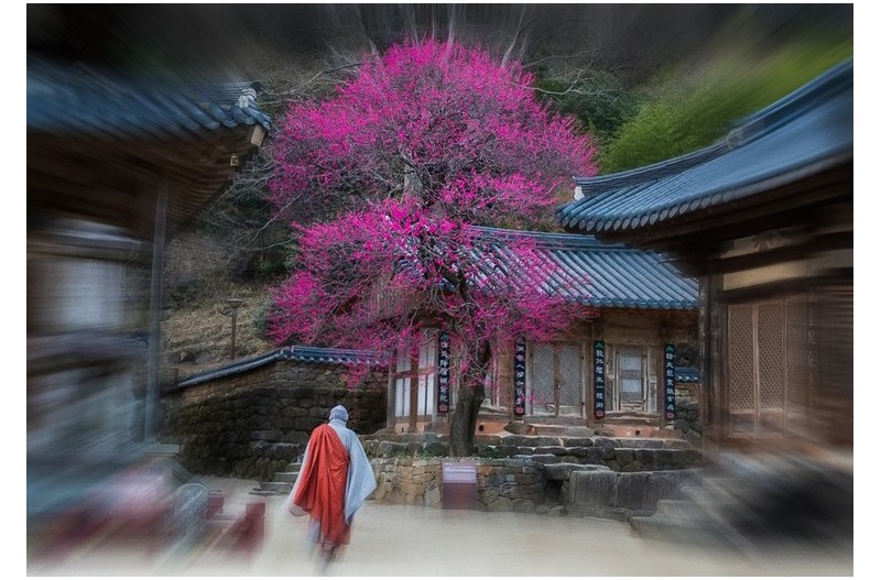 화엄사의 봄 소리