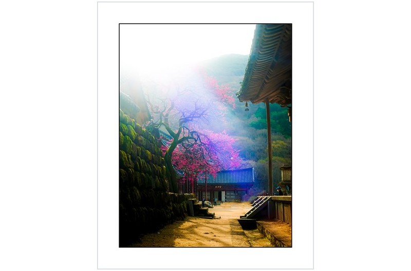 화엄사의 아침빛,,