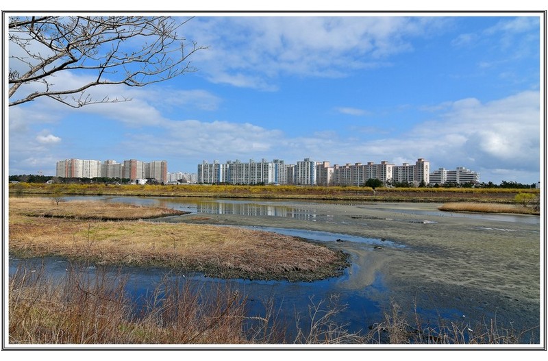 남대천 하구 와 솔바람교