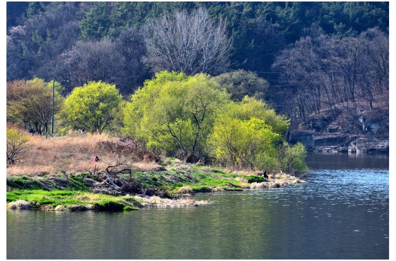 강변의 봄빛