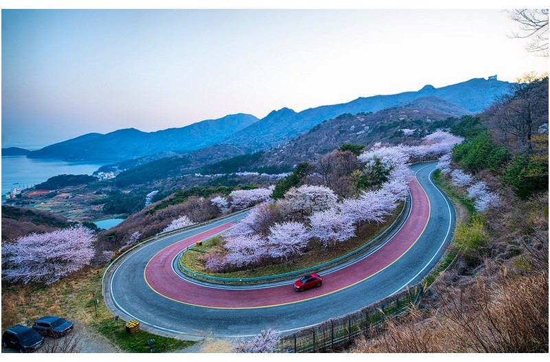 벗꽃 길